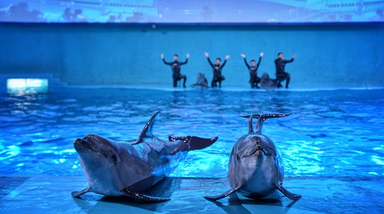 首个"万达城"南昌正式开业 万达打造世界文化旅游新品牌